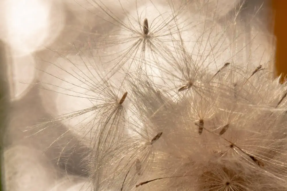 creatief stichting Aardedraad