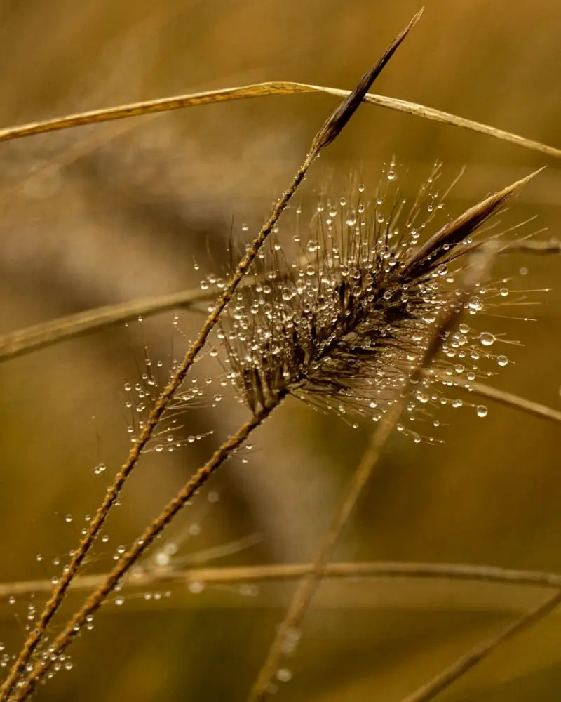 samen in beweging stichting Aardedraad