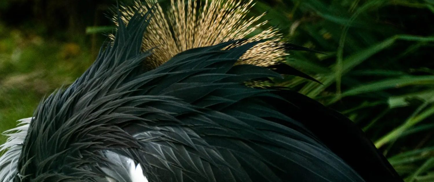 workshops stichting Aardedraad